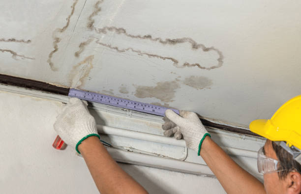 Reliable Water Damage contractor in New Deal, TX by Water Damage Irwin